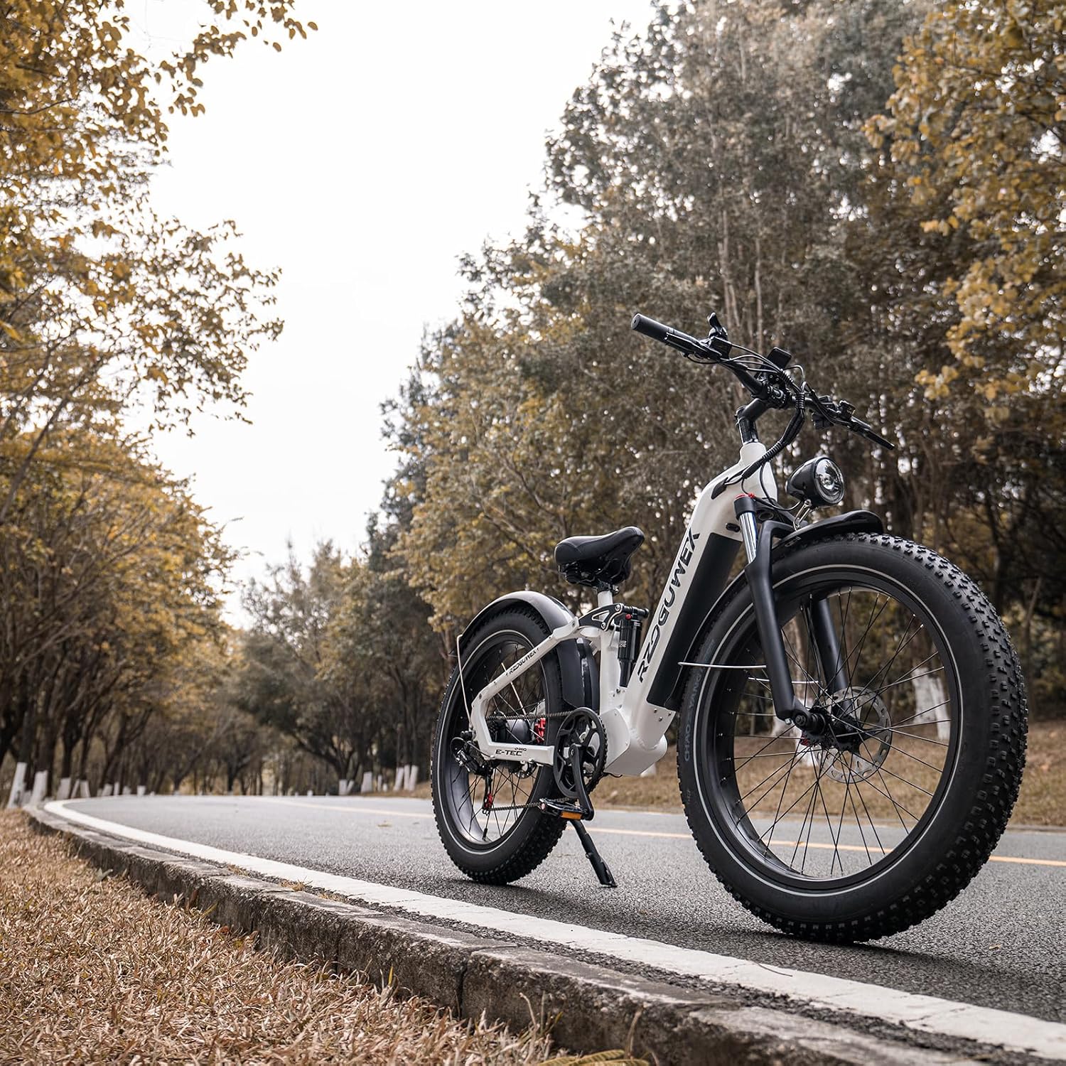 RZOGUWEX Electric Bicycle，26 Inch Off-Road EBIKE for Adults with 48V 25AH Detachable Lithium Ion Battery, 7 Speed with Dual Hydraulic Disc and Brake Dual Shock Absorbers